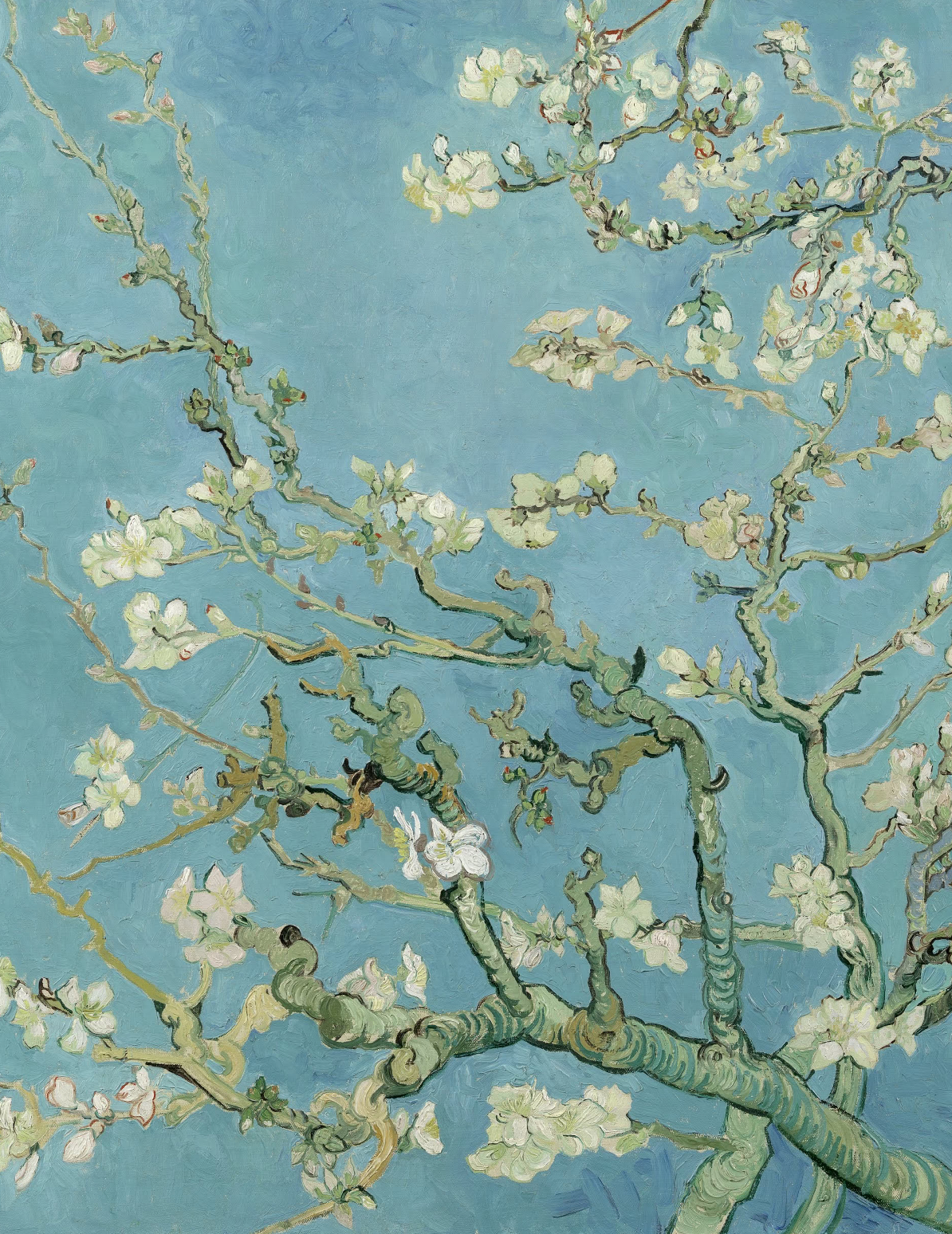Van Gogh Artwork 19